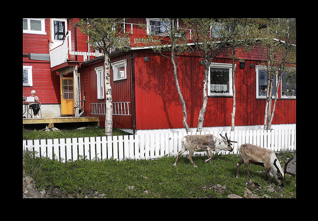 Cuando no está en la tundra ártica con sus 2.000 renos, su perro y Whitney Houston en los auriculares, Nils Mathis Sara trata de explicar cómo una mina de cobre amenaza su sustento. Junto con otros pastores y pescadores, este hombre de 60 años se encuentra en un momento clave con los propietarios de la mina y funcionarios noruegos. El cambio climático (las temperaturas promedio en el Ártico han aumentado más de 2 grados, el doble de rápido que el promedio mundial) y la tecnología, están generando una explosión en el desarrollo industrial de la región, que amenazan las formas de vida tradicionales y crean tensiones entre sus 4 millones de habitantes.