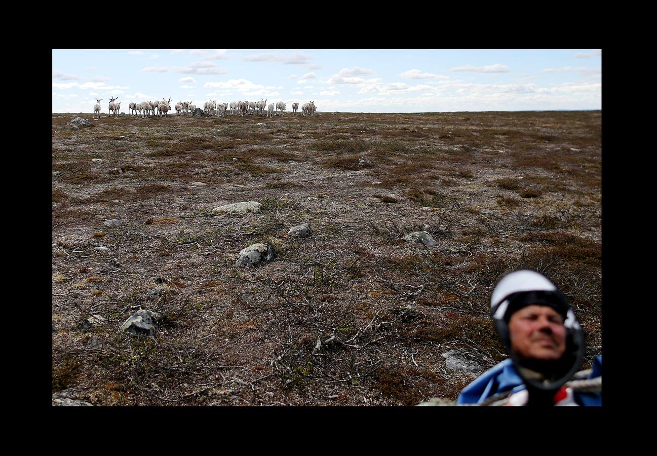 Cuando no está en la tundra ártica con sus 2.000 renos, su perro y Whitney Houston en los auriculares, Nils Mathis Sara trata de explicar cómo una mina de cobre amenaza su sustento. Junto con otros pastores y pescadores, este hombre de 60 años se encuentra en un momento clave con los propietarios de la mina y funcionarios noruegos. El cambio climático (las temperaturas promedio en el Ártico han aumentado más de 2 grados, el doble de rápido que el promedio mundial) y la tecnología, están generando una explosión en el desarrollo industrial de la región, que amenazan las formas de vida tradicionales y crean tensiones entre sus 4 millones de habitantes.