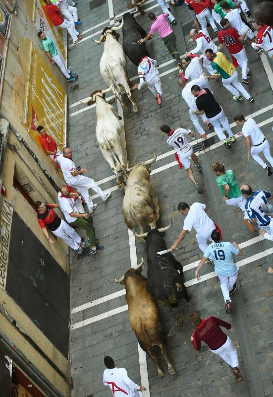 Los astados protagonizan una carrera rápida con algunos momentos de tensión