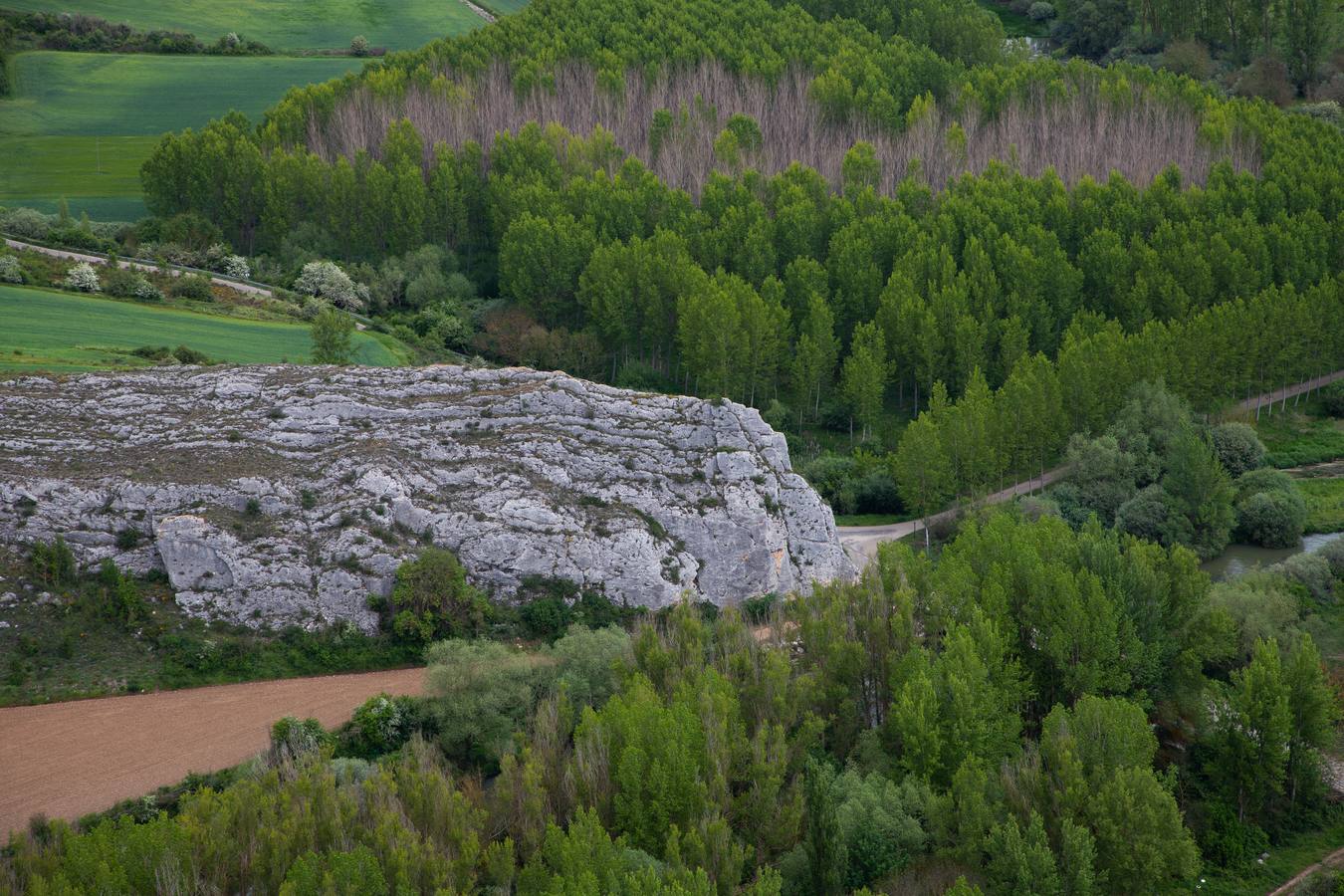 En la localidad palentina de Villaescusa de las Tuerces se levanta las gigantescas piedras en forma de setas, puentes y arcos naturales, cerrados callejones y umbrías covachuelas que dan lugar a un encantado paisaje en el que parecen habitar duendes y brujas