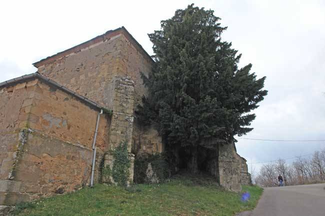 Folgoso de la Ribera, en la  comarca de El Bierzo  y situado a 91 kilómetros de León, presenta numerosas sendas con ecos de paz y  vistas de ensueño  a lo largo de  35,2 kilómetros.