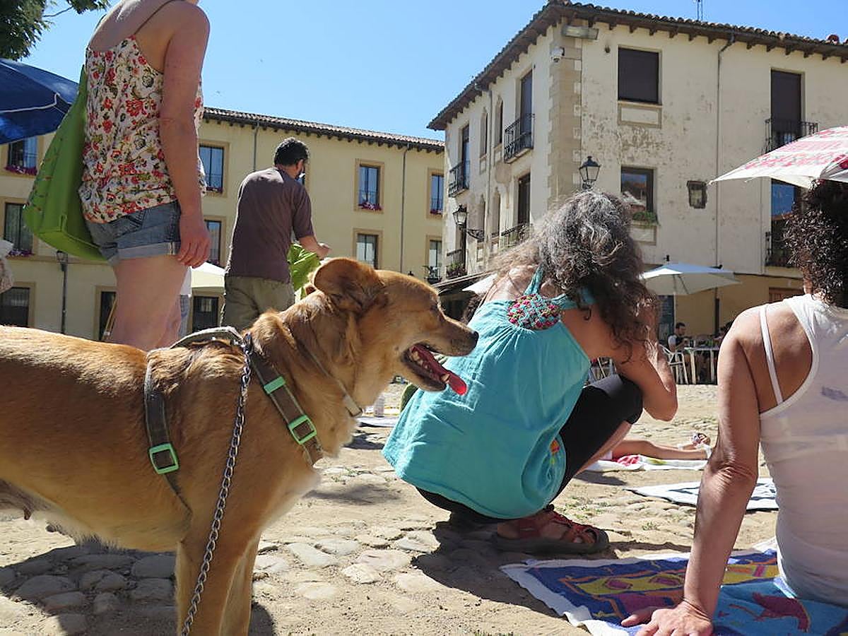 Fotos: Concentración en la &#039;Playa del Grano&#039;