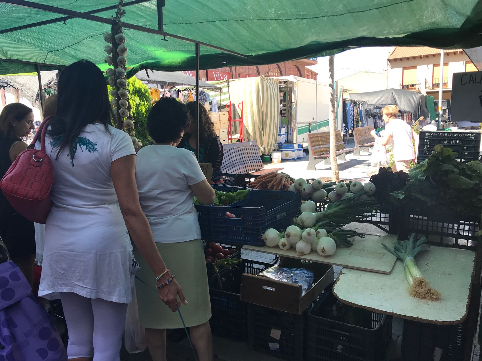 Fotos: Jueves de mercado en Valencia de Don Juan