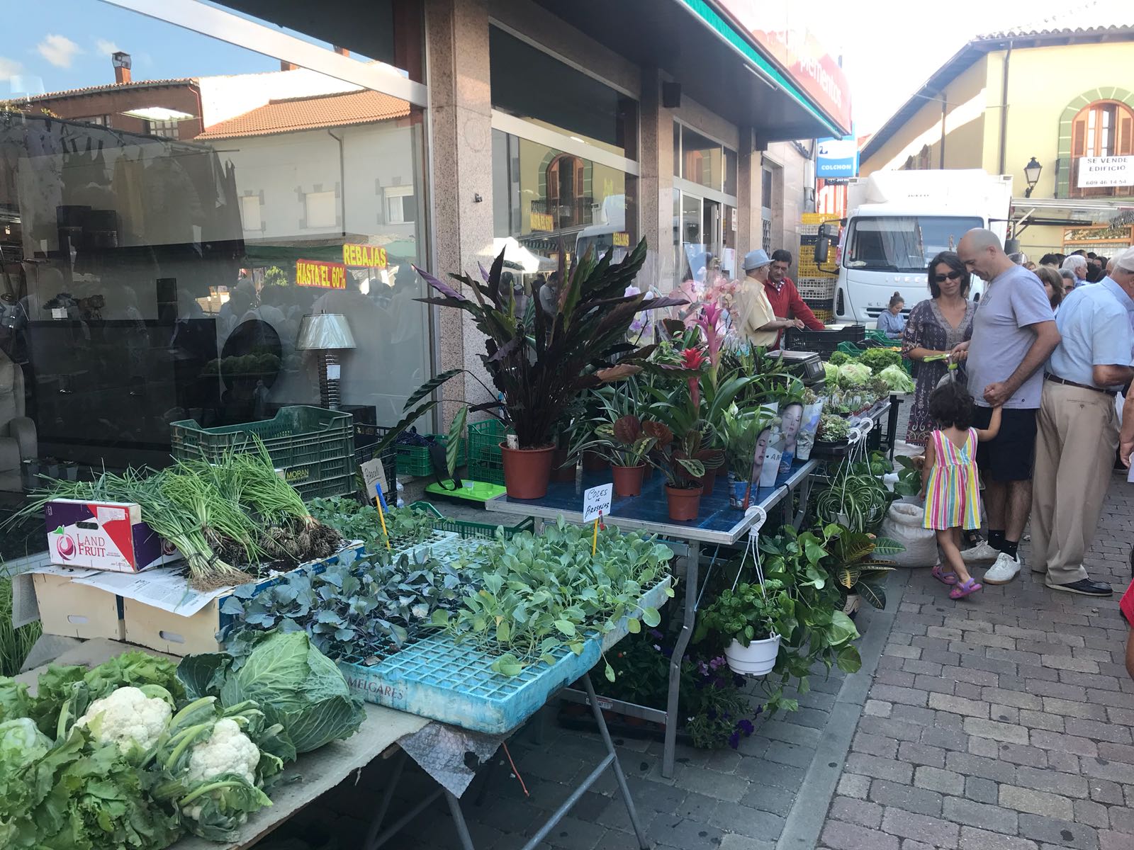 Fotos: Jueves de mercado en Valencia de Don Juan