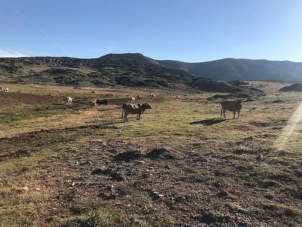 Fotos: Las mejores imágenes del Trail Villafeide 2018
