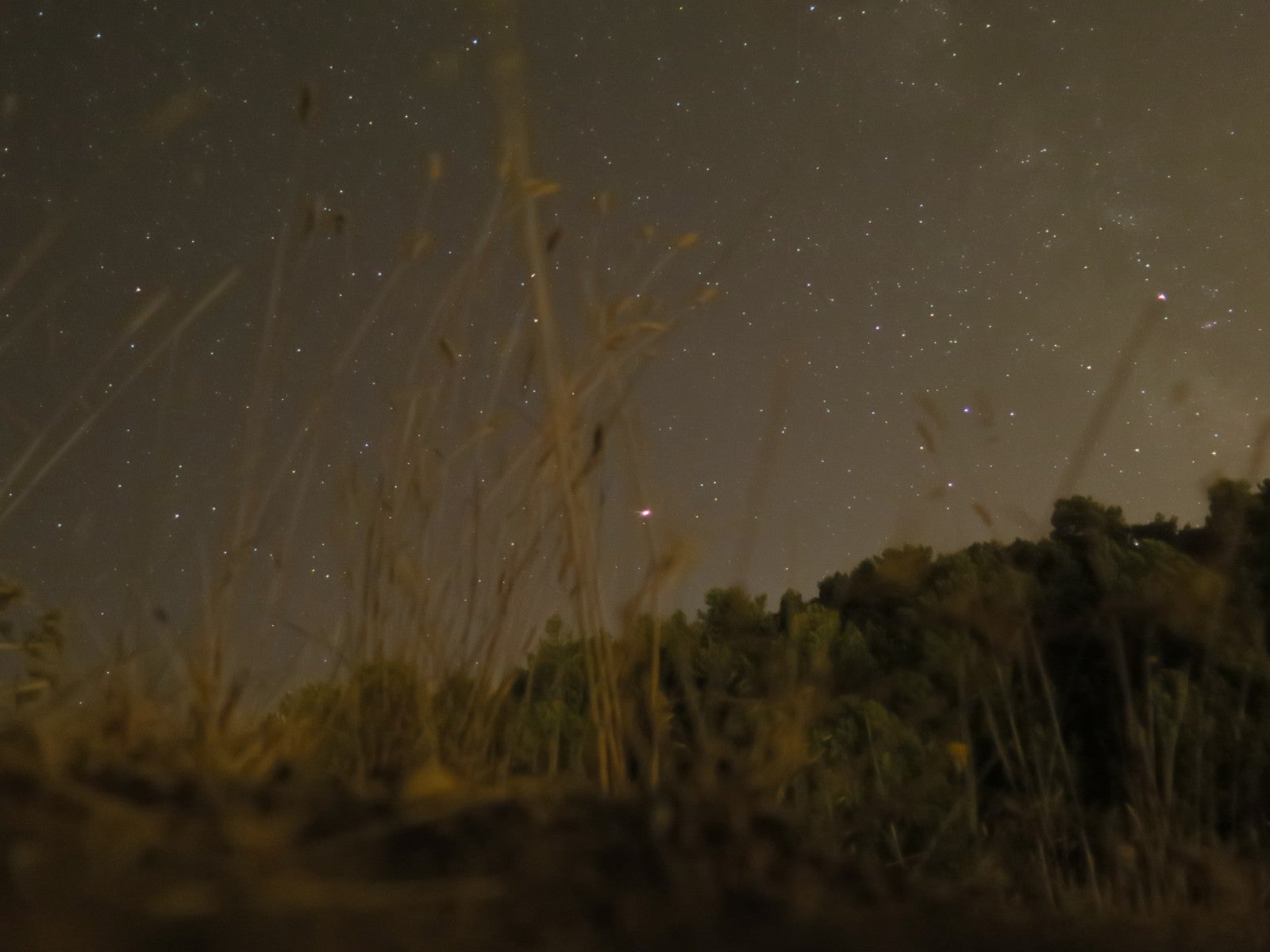 Fotos: Noche de luz