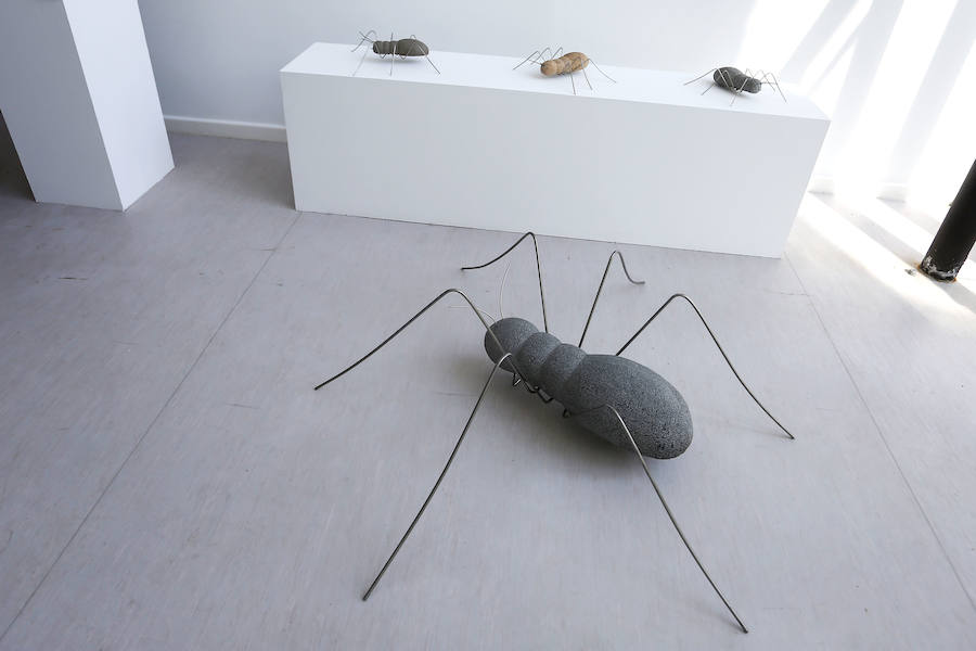 Fotos: Primer aniversario del Centro de Interpretación del Clima de La Vid