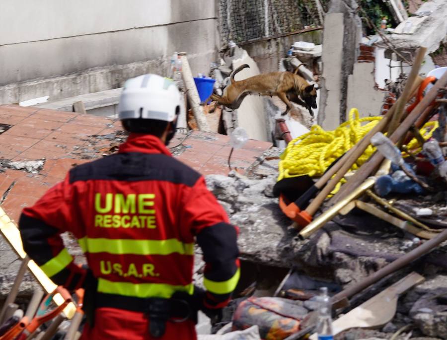 Fotos: La UME en acción