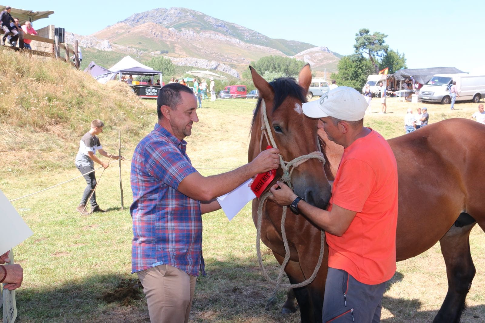 Fotos: Concurso hispano-bretón en San Emiliano de Babia