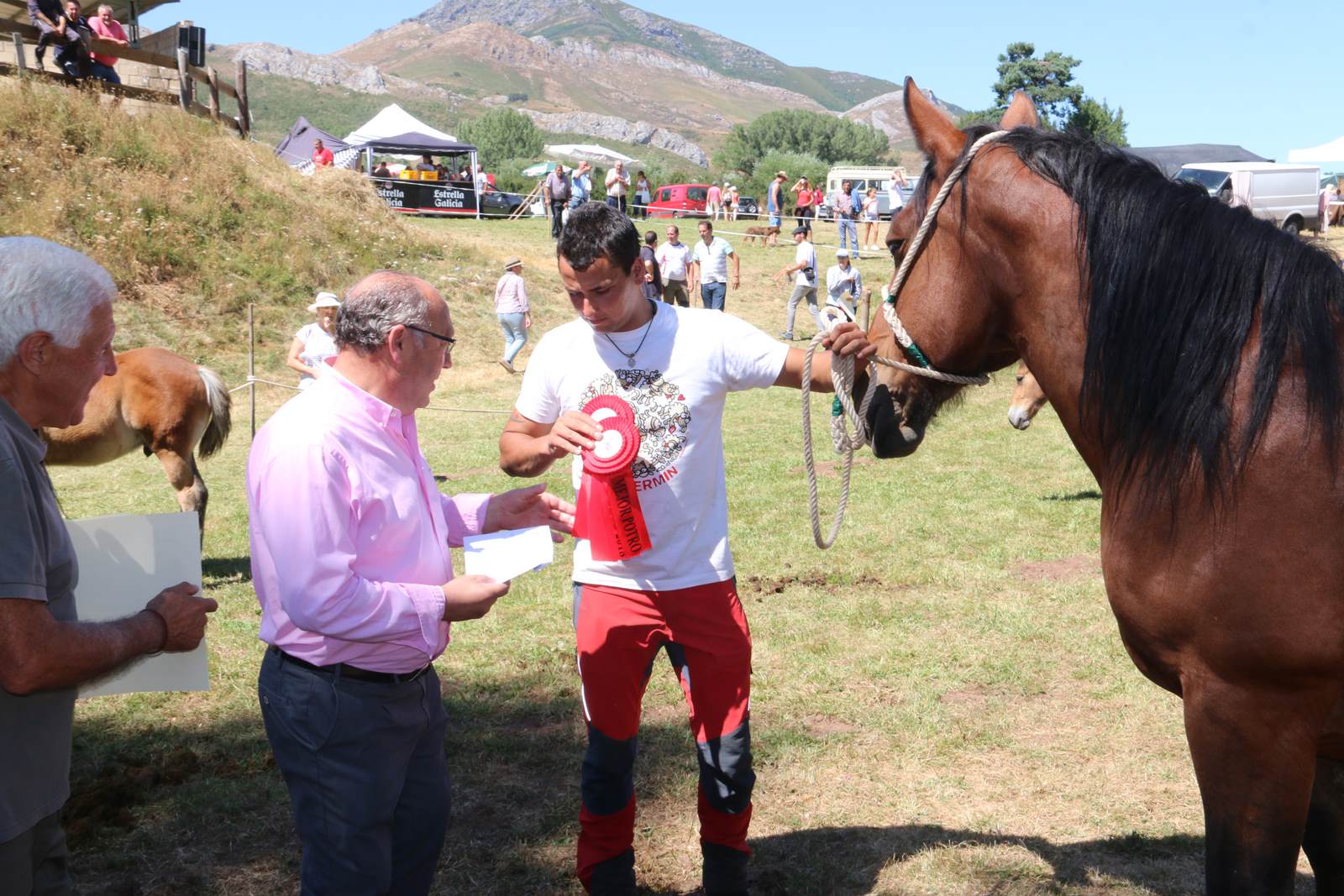 Fotos: Concurso hispano-bretón en San Emiliano de Babia