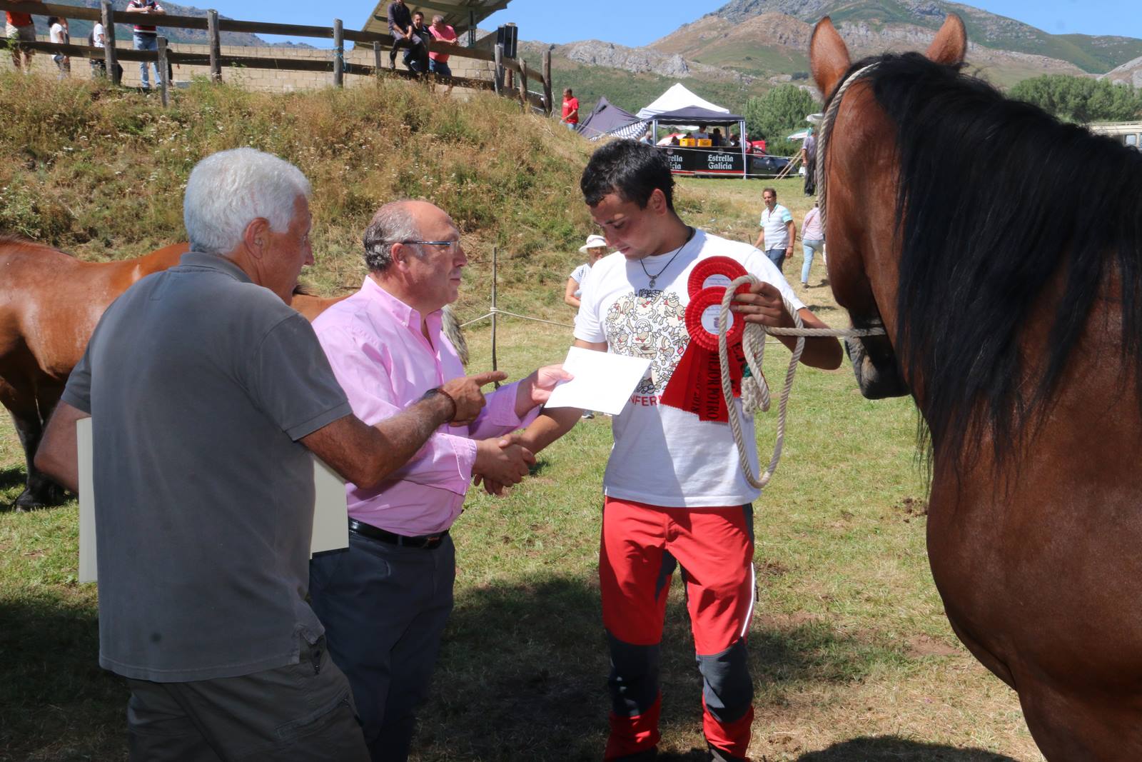 Fotos: Concurso hispano-bretón en San Emiliano de Babia