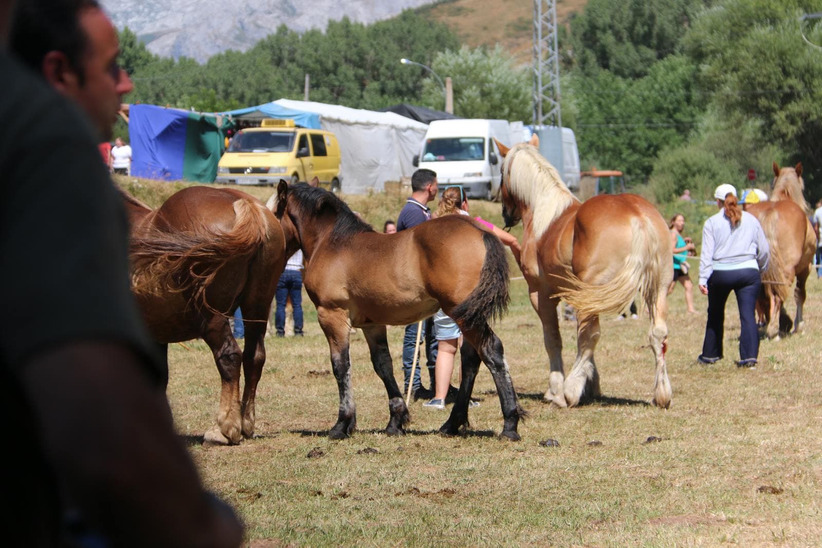 Fotos: Concurso hispano-bretón en San Emiliano de Babia