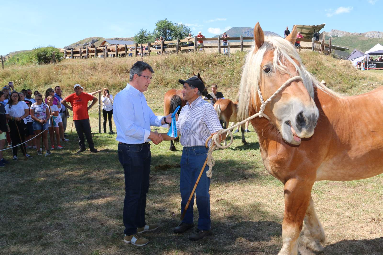 Fotos: Concurso hispano-bretón en San Emiliano de Babia