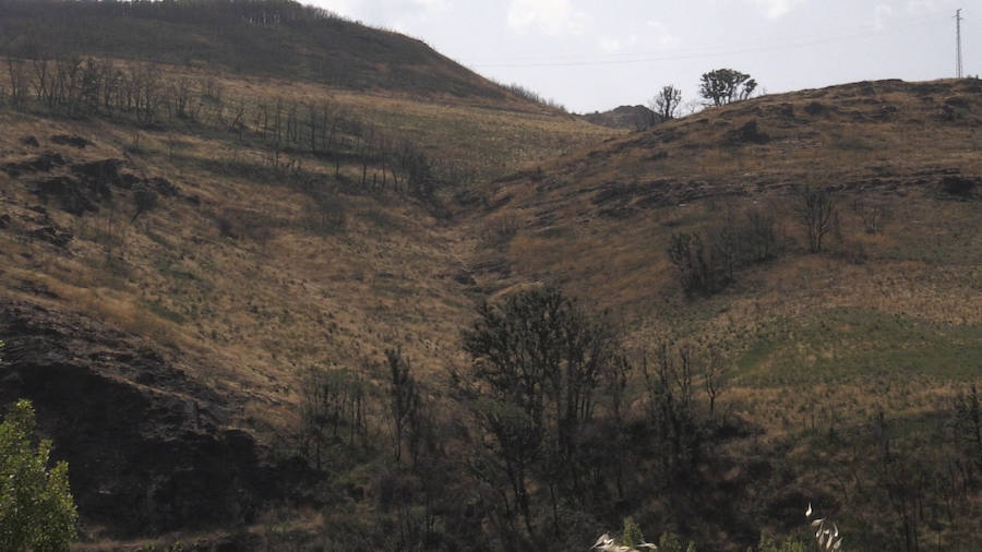 Fotos: La Cabrera, un años después