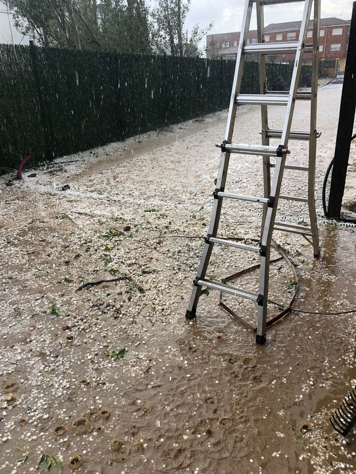 Fotos: Espectacular granizada en la provincia de León