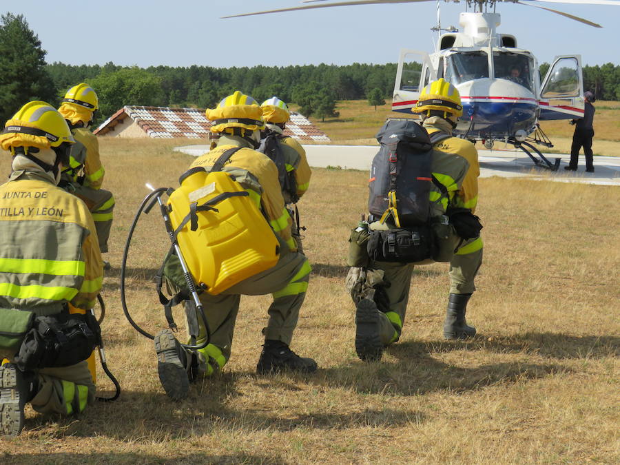 Fotos: El trabajo en la base de Camposagrado