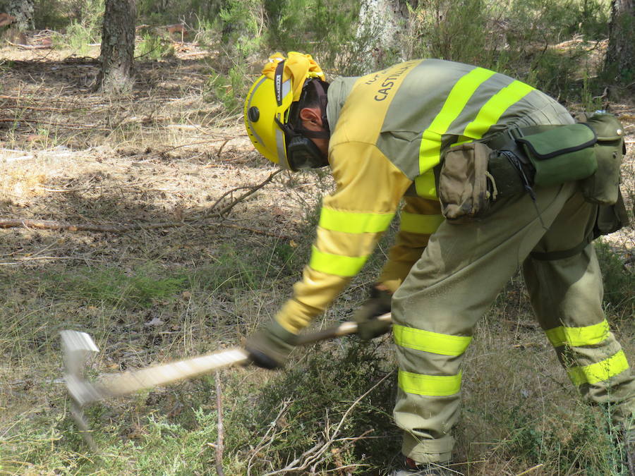 Fotos: El trabajo en la base de Camposagrado