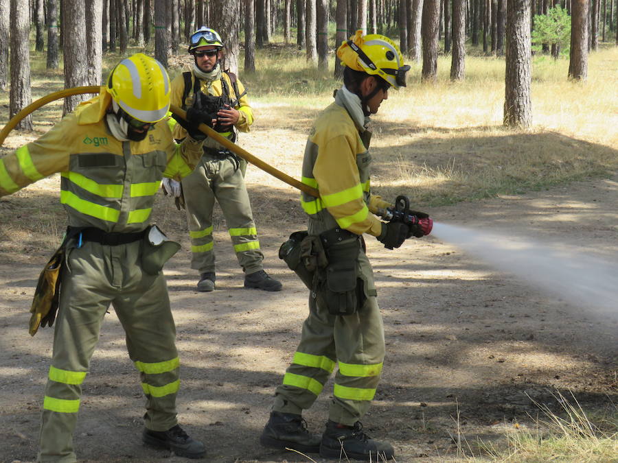 Fotos: El trabajo en la base de Camposagrado