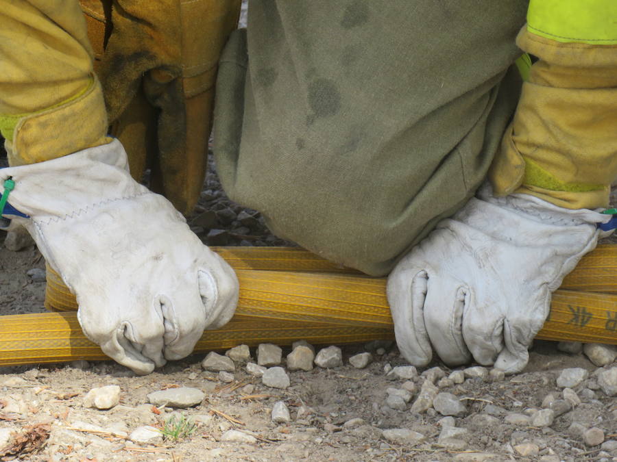Fotos: El trabajo en la base de Camposagrado