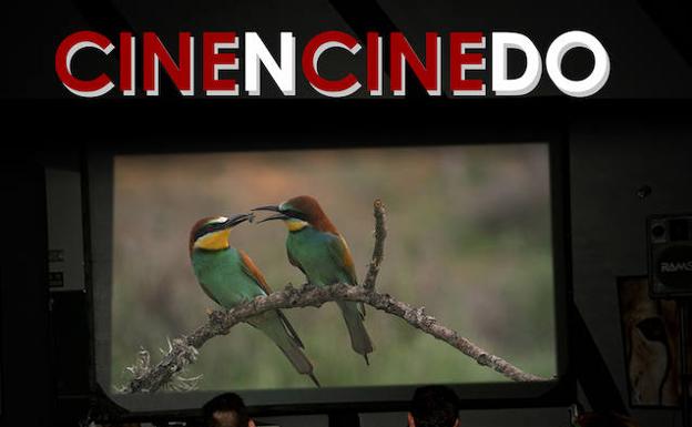 El 'Cinencinedo' celebra una nueva edición en La Baña