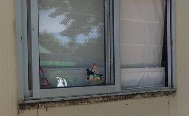 La protectora de animales de León, objetivo de un ladrón: dos robos en menos de dos meses