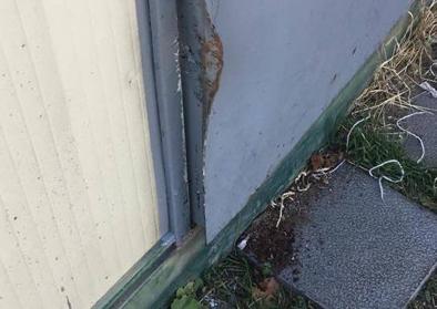Imagen secundaria 1 - La protectora de animales de León, objetivo de un ladrón: dos robos en menos de dos meses