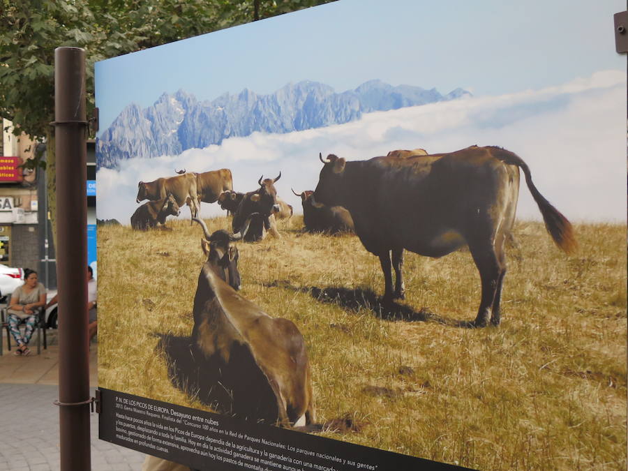 Exposición fotográfica 'Momentos' con motivo del Centenario de Picos de Europa