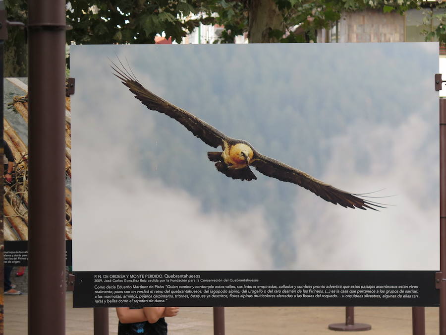 Exposición fotográfica 'Momentos' con motivo del Centenario de Picos de Europa