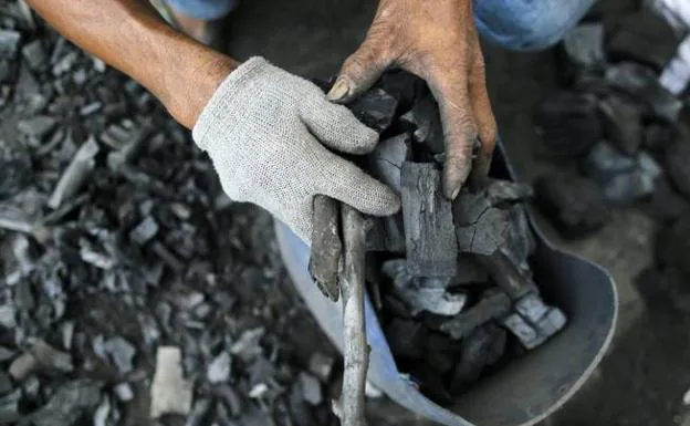 El PP insta al Gobierno en una moción a mantener el carbón en el 'mix' energético