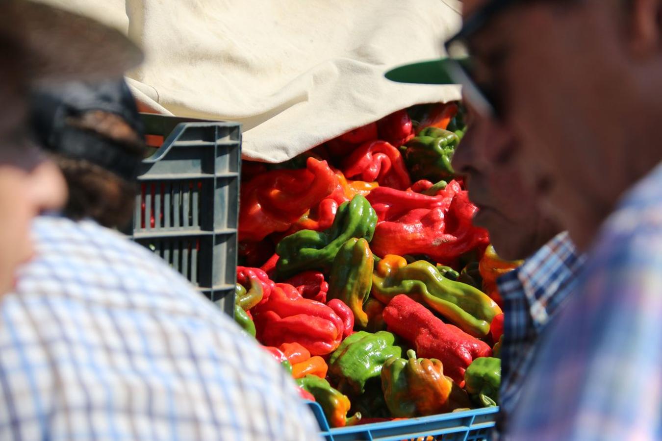 Fotos: El mejor pimiento, el de Fresno