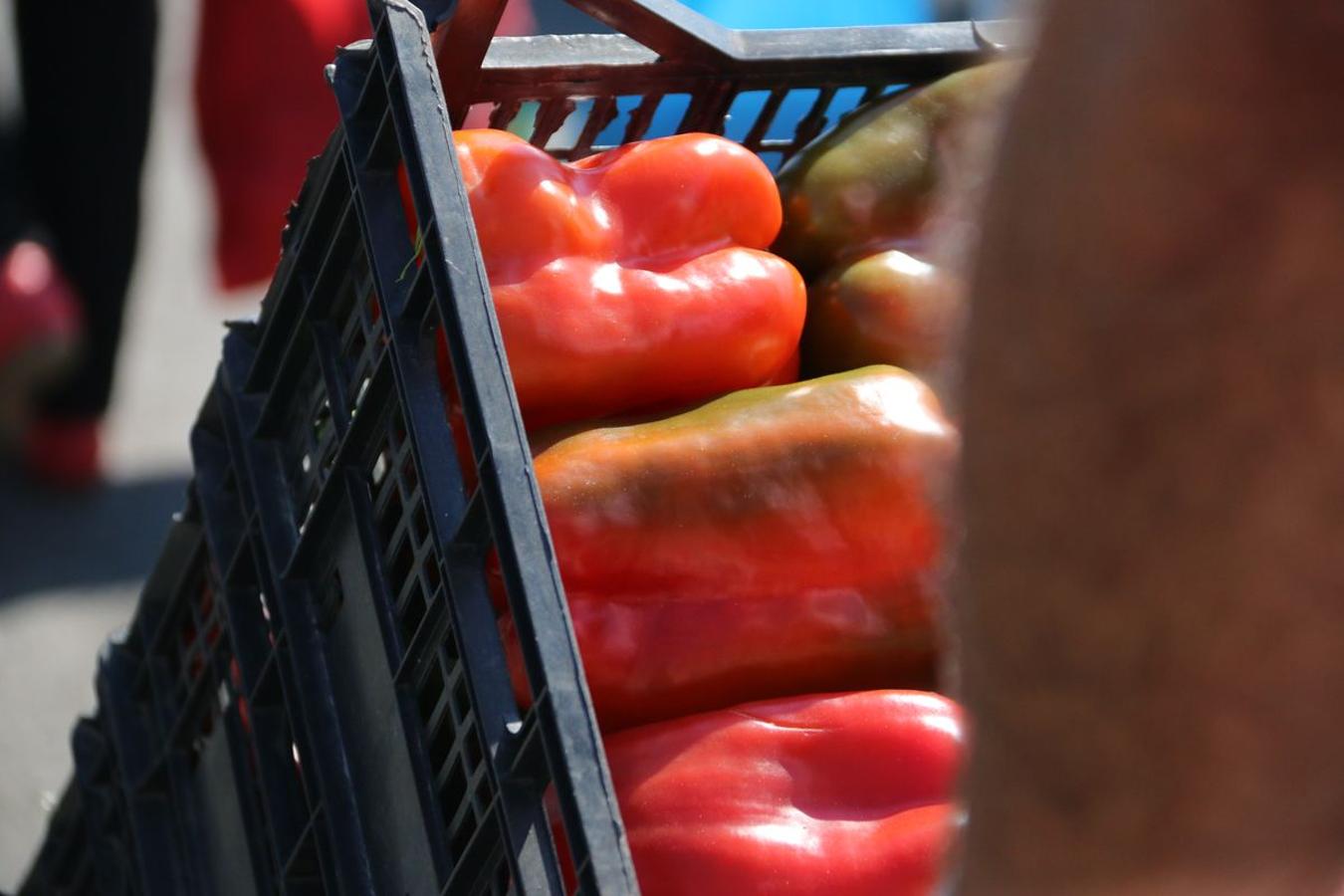 Fotos: El mejor pimiento, el de Fresno