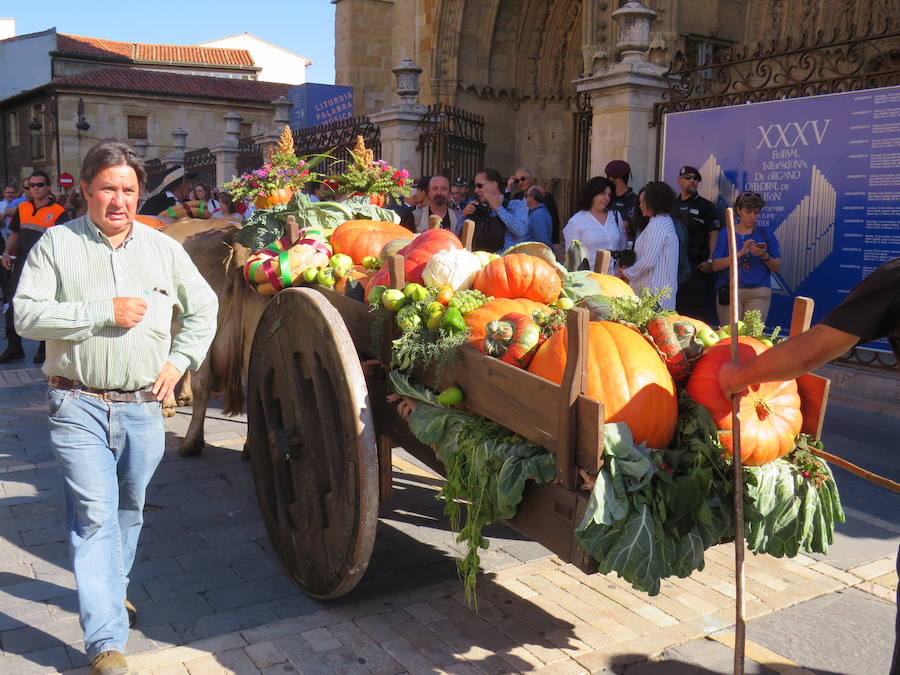 Fotos: El foro u oferta de la Catedral