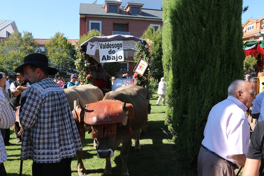 Los pendones leoneses y los carros engalanados exaltan el día de San Froilán en la Virgen del Camino en una muestra del valor y diversidad de las tierras del viejo Reino