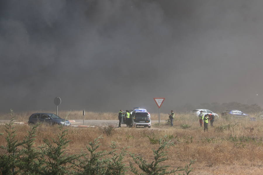 Fotos: Un incendio asola la planta de reciclaje industrial de León Verde