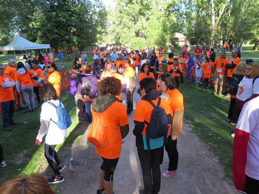 Fotos: I Marcha Solidaria de Alfaem