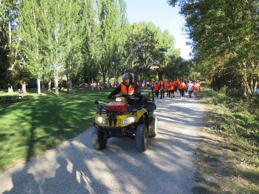 Fotos: I Marcha Solidaria de Alfaem