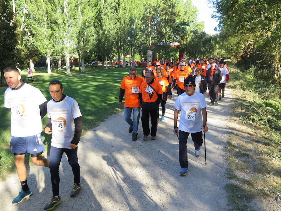 Fotos: I Marcha Solidaria de Alfaem