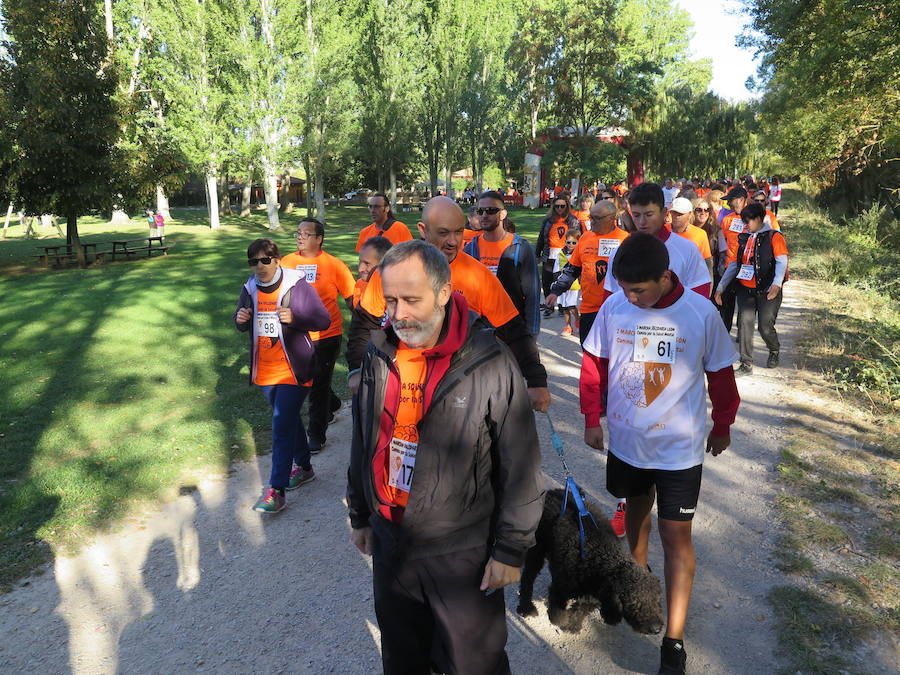 Fotos: I Marcha Solidaria de Alfaem