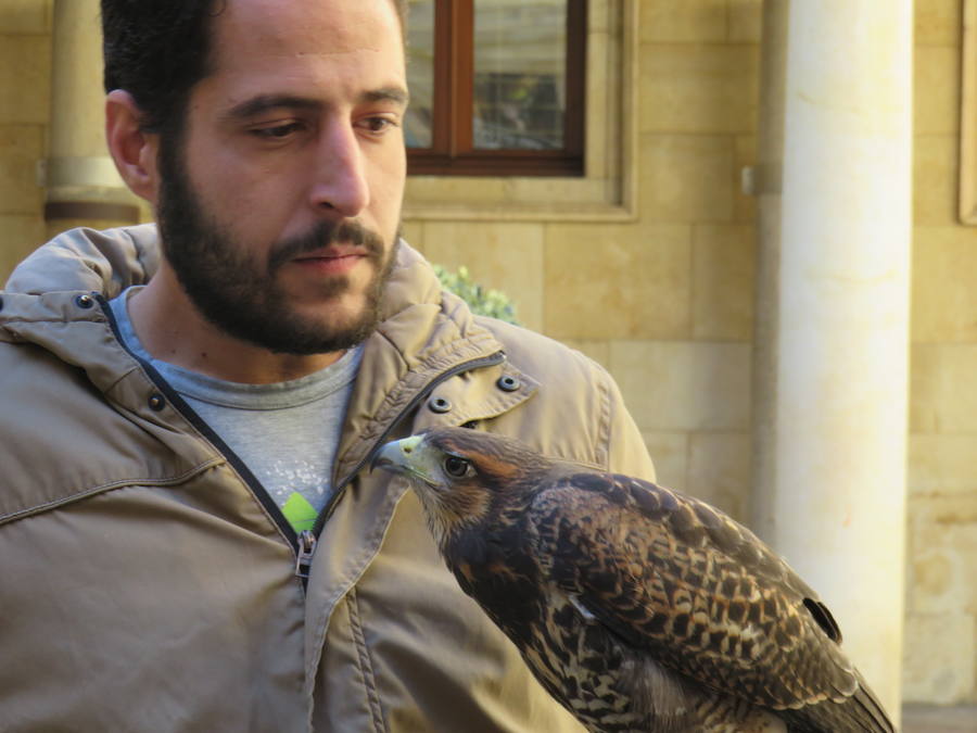 La Diputación de León acogió la presentación de las XXIV Jornadas Internacionales de Cetrería 