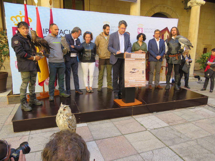 La Diputación de León acogió la presentación de las XXIV Jornadas Internacionales de Cetrería 