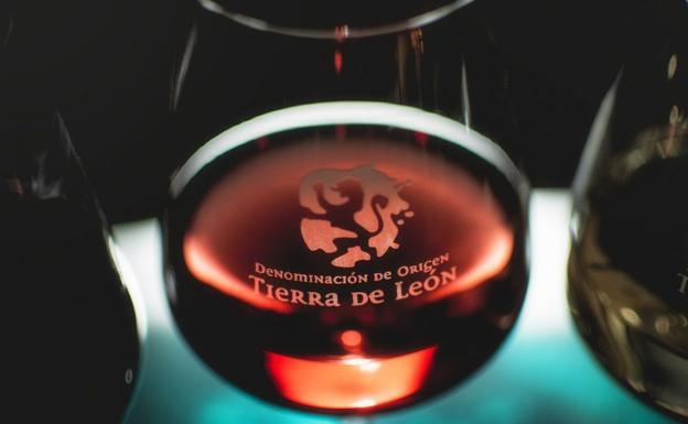 Vinos Tierra de León.