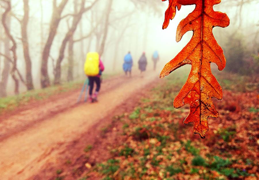 Fotos: Imágenes ganadoras del concurso El Camino con Correos
