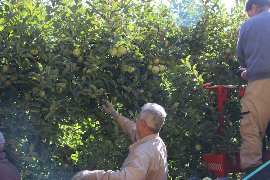 Cooperativa del Bierzo