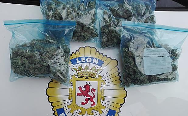 Marihuana embolsada intervenida a los detenidos.