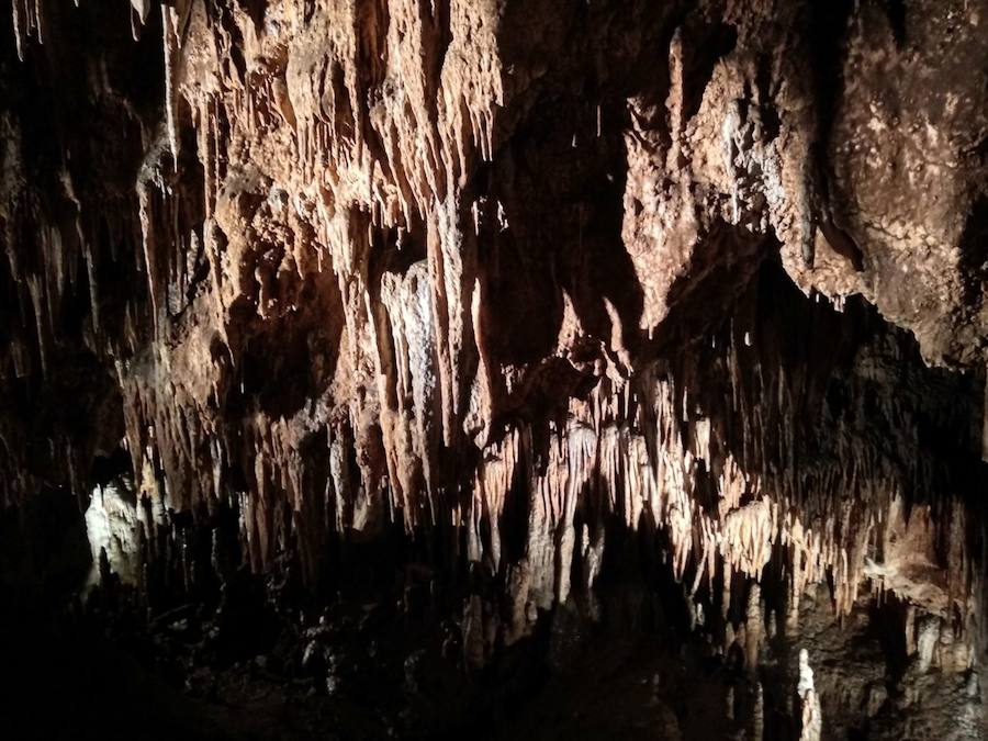 La cueva de Valporquero es una de las visitas obligadas para leoneses y visitantes de la provincia en la que quedarán sorprendidos en un viaje al interior de la tierra y al pasado a través de las miles de formaciones que se podrán contemplar