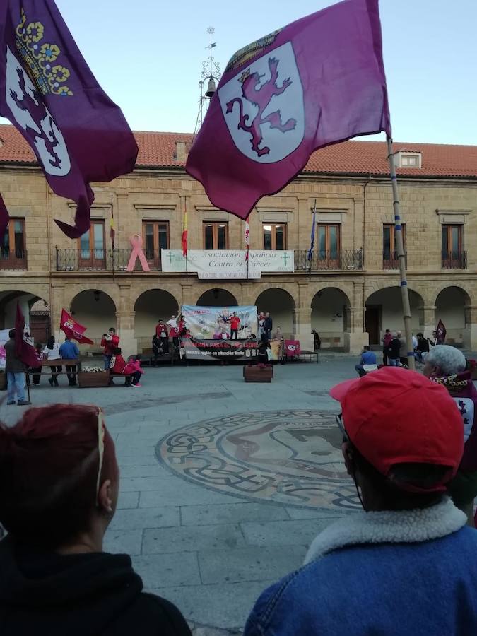 Fotos: Imágenes de la manifestación leonesista en Benavente