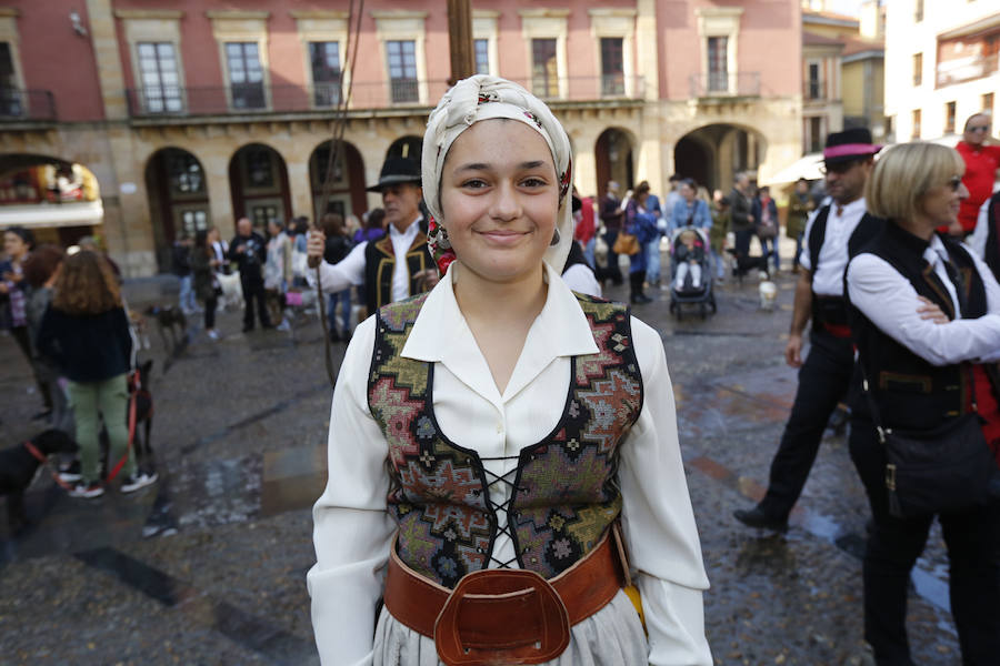 Cerca de 350 leoneses con sus pendones concejiles volvieron a protagonizar el encuentro en representación de 45 pueblos desplegando sus estandartes y recorriendo las calles de Gijón, entre la Plaza Mayor, pasando por el Paseo del Muro de San Lorenzo, y terminando el recorrido en el Hotel Begoña Park.