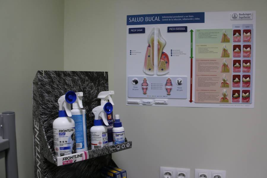 Fotos: Agrovet inaugura su nuevo Hospital Clínico Veterinario