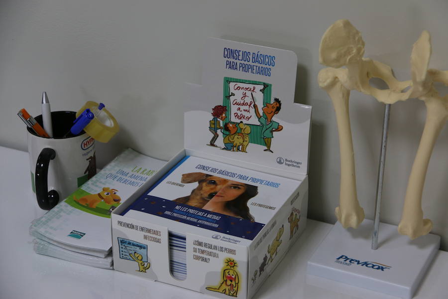 Fotos: Agrovet inaugura su nuevo Hospital Clínico Veterinario