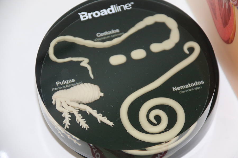 Fotos: Agrovet inaugura su nuevo Hospital Clínico Veterinario